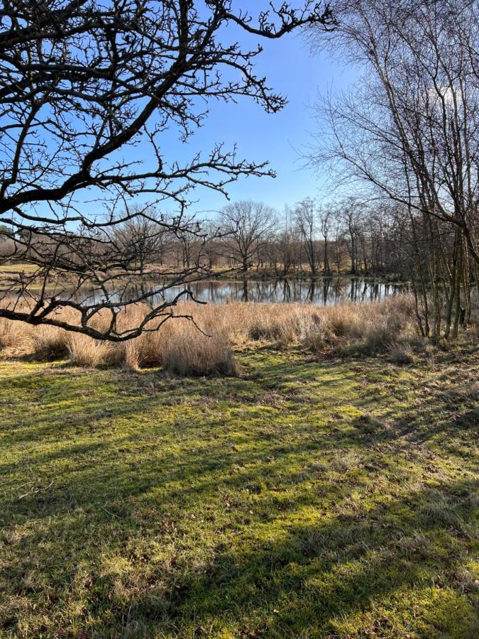Overnachten In Zeeland Burgh-Haamstede Εξωτερικό φωτογραφία